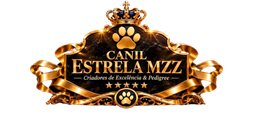 Logo Canil Estrela MZZ